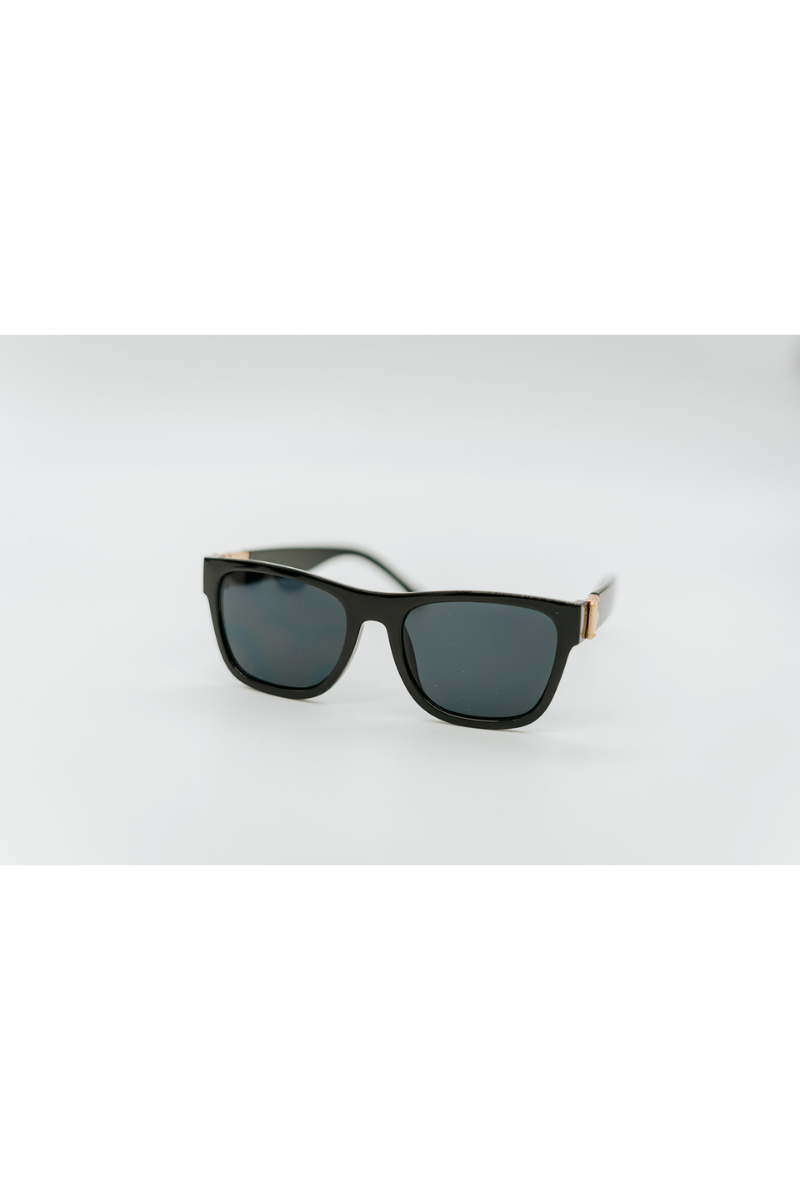 Blake Modern Wayfarer Sunglasses