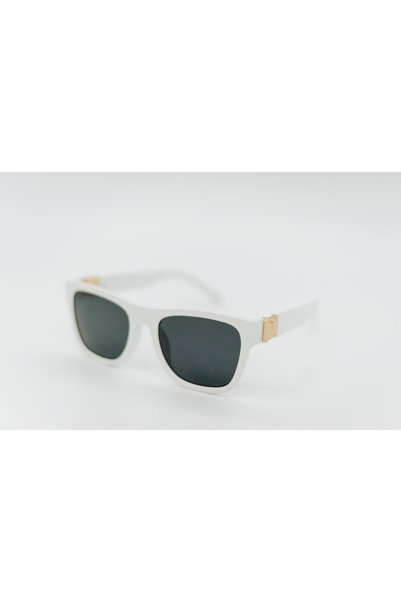Blake Modern Wayfarer Sunglasses